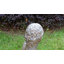 Sculpture People Bust
