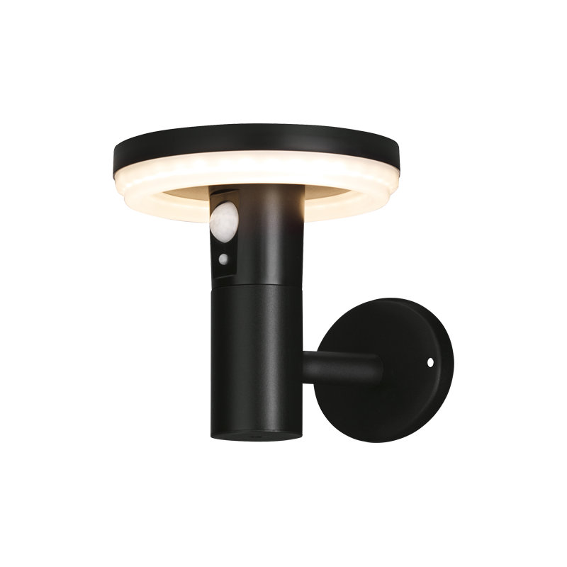 Antheia Solar Outdoor Wall Light (Anthracite) 250lm Motion Sensored LED IP54 Rated Exterior Wall Lamp - 4L2/6012