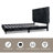 Dendrick Upholstered Tufted Velvet Bed-71942766-71942767