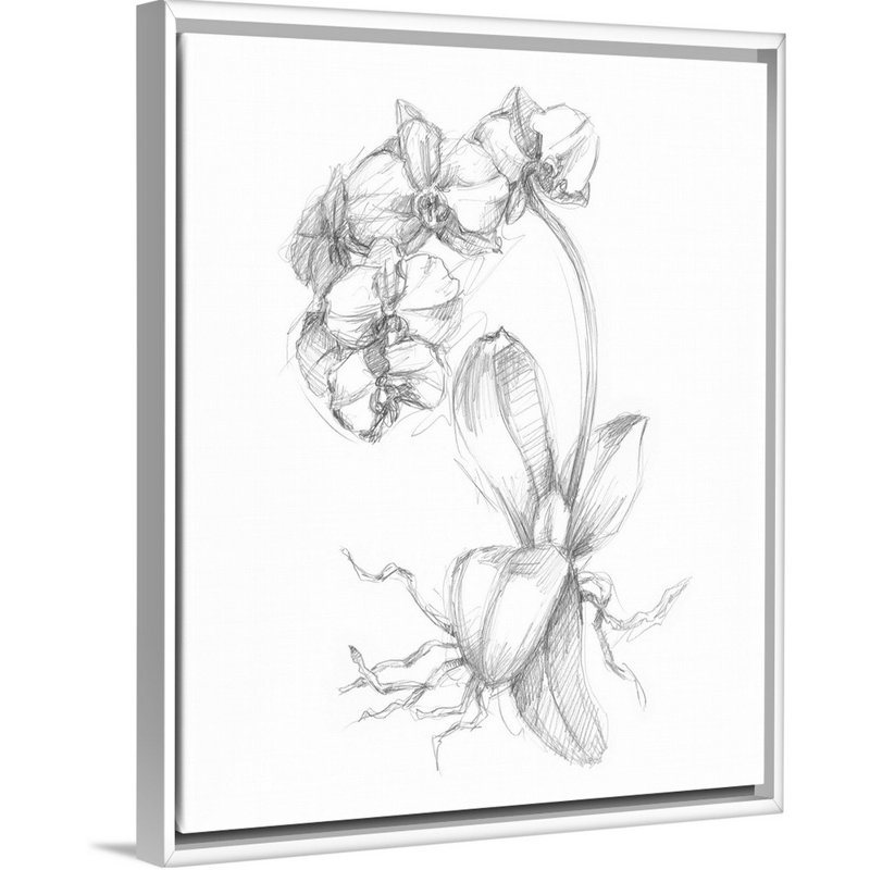 Art botanique sur toile, Toile avec cadre blanc, H 30 po x l 24 po x P 2 po