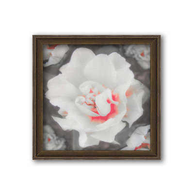 Tulipe blanche de fantaisie par Hal Halli. Impression sur papier - Montée et encadrée