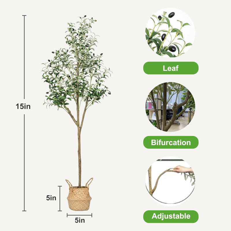 72 plantes