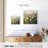 Mountain Meadows-109208080