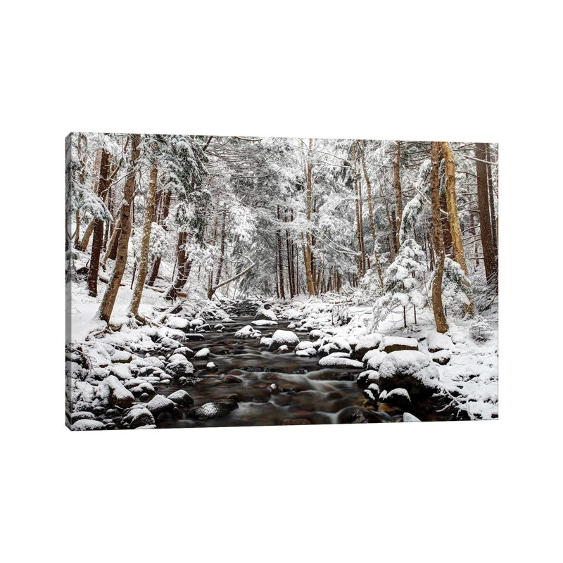 Stream In Winter, Nova Scotia, Canada - Horizontal by Scott Leslie - Wrapped Canvas Print, 152.5 cm H x 101.5 cm W