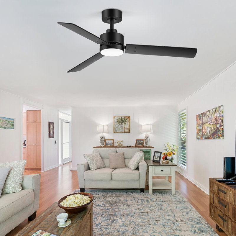 Bubacarr  48'' Matte Black Ceiling Fan with LED Light and Remote Control