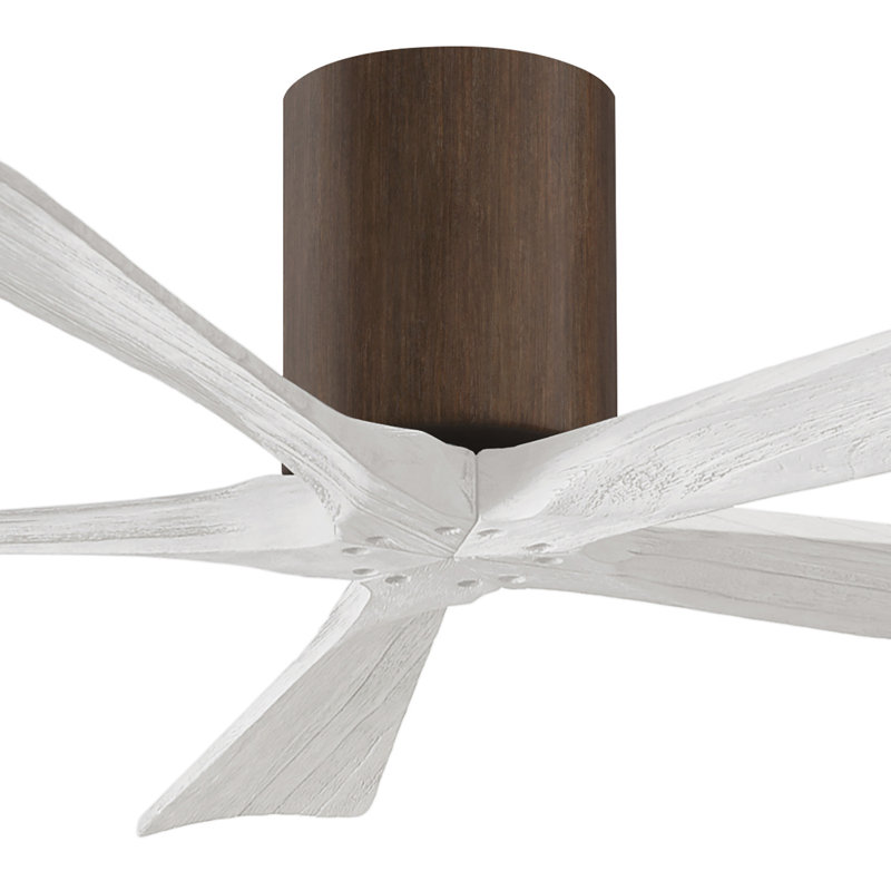 Ventilateur à pales encastré 5 pales Irene, Noyer, Blanc mat, 52"