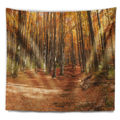 Tapisserie colorée forêt d'automne avec feuilles tombées