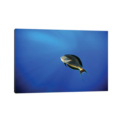 Blu by Alessandro Catta - Wrapped Canvas Gallery-Wrapped Canvas Giclée