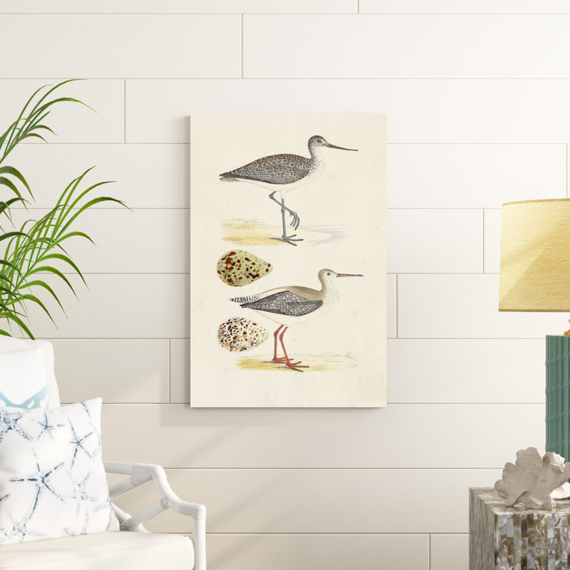 «Sandpipers and Eggs I», impression sur toile, H 36 po x l 24 po