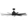 Champion Ceiling Fan with LED Lights