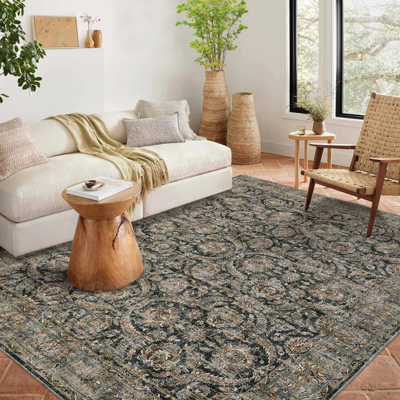 Ludka Washable Oriental Rug, Rectangle 5 pi x 7 pi