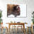 " Winter Brown Bison "-471365987