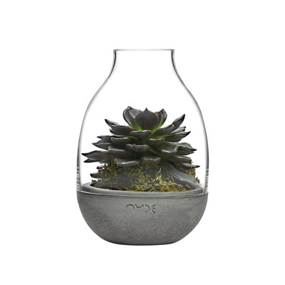 Eden Handmade Glass Terrarium
