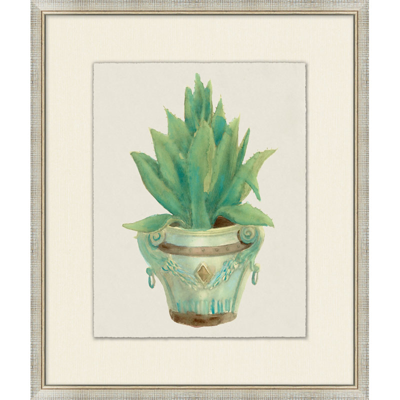 Aloe Pot 5 Print