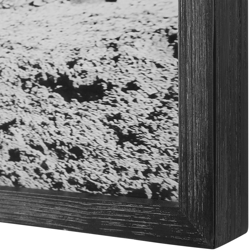 Galloping Forward Black and White Horse Print Set