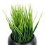 3 - Piece Artificial Onion Grass in Black Pot Set