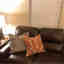 Customer photo 1 of 2