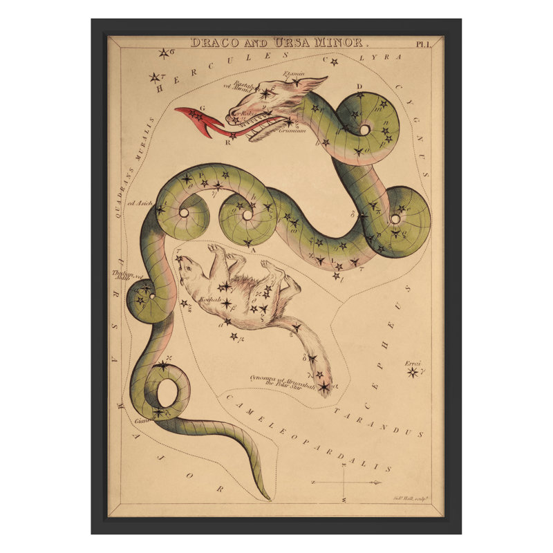 Draco Print by Grand Archives, Black Framed, 32" H x 23" W