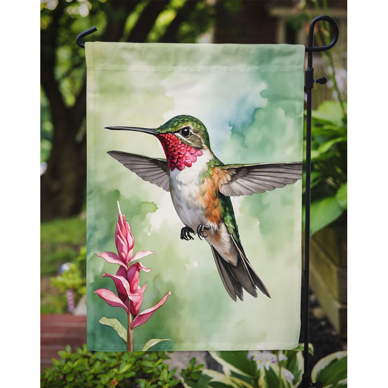 Drapeau de jardin, Calliope Hummingbird