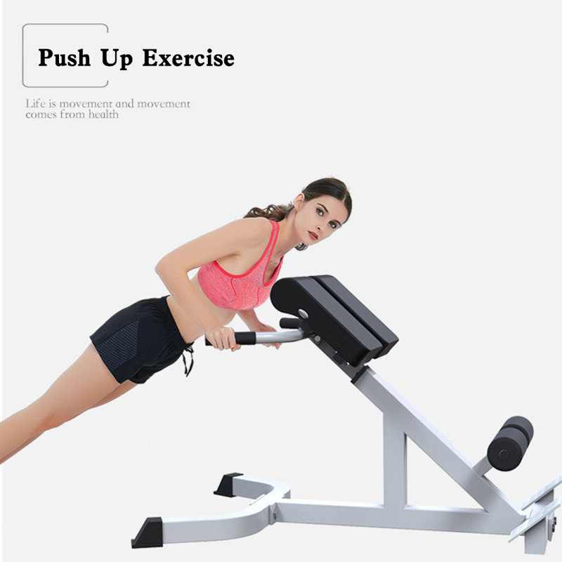 Adjustable Roman Chair Back Extension Bench