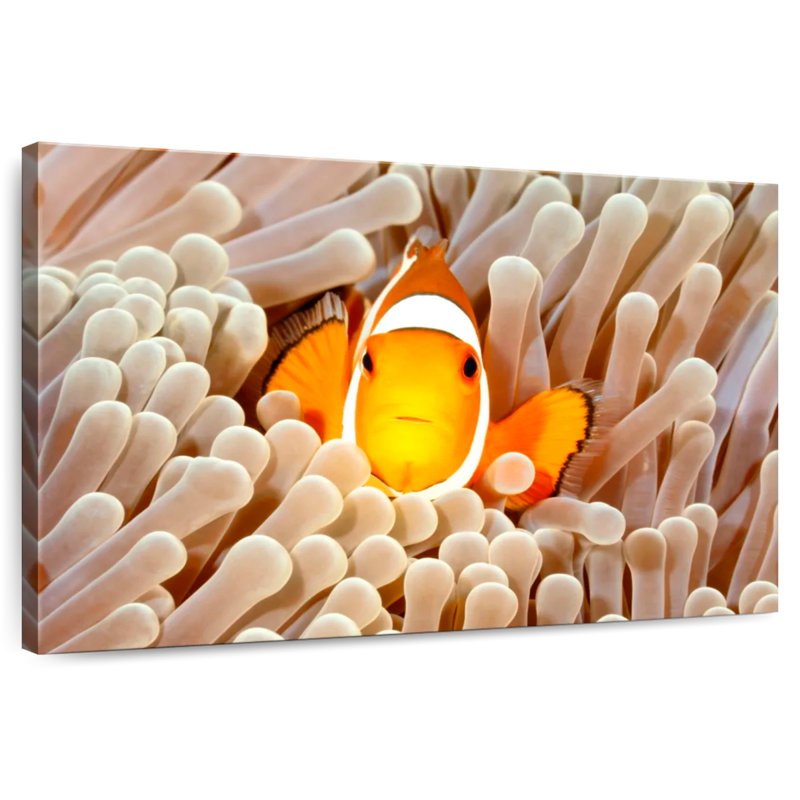 Clownfish Anemone, 8" H x 12" W