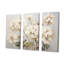 Ensemble de décorations murales Minimalisme beige Geraniums IV - Geraniums-1452311824-1452311835