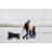 Adventure Wagon Multi-Utility All-Terrain Folding Wagon with Big Wheels