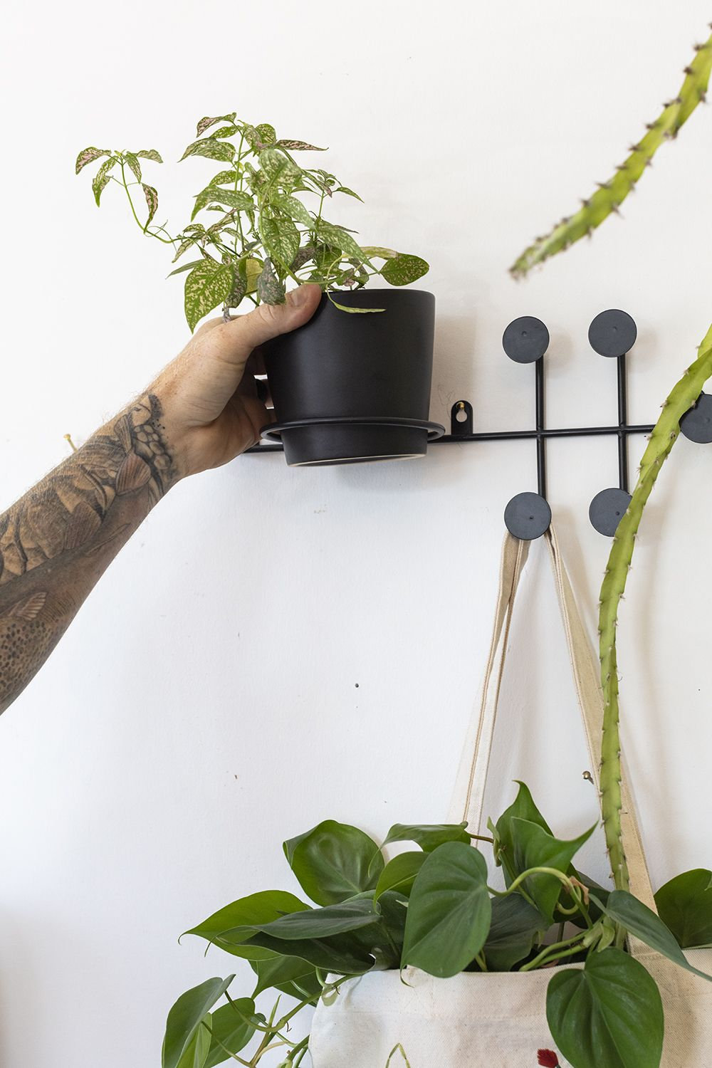 Angelina 14" Ceramic Wall Planter