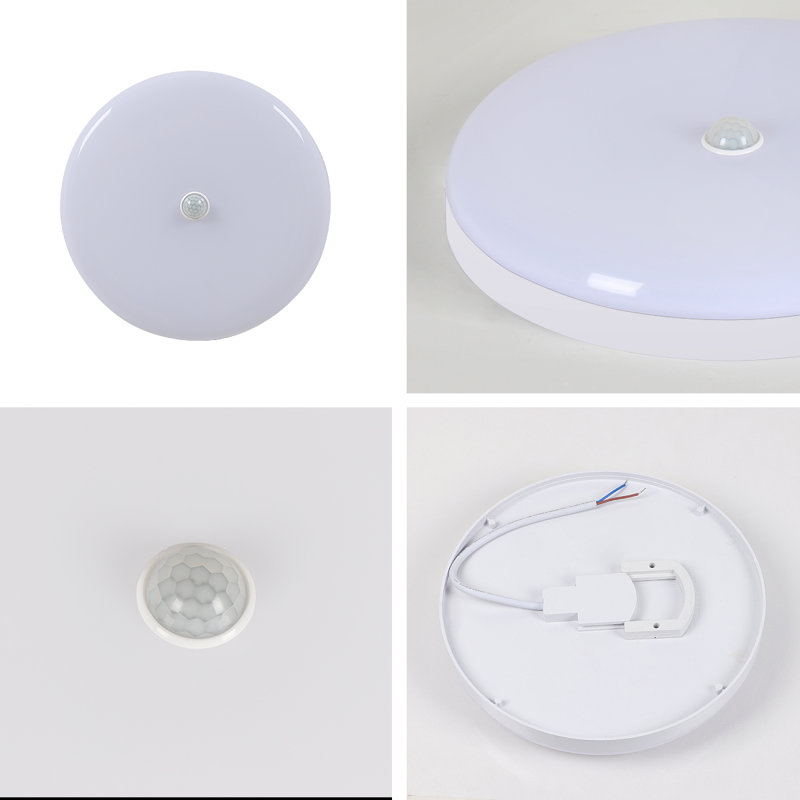 Ayal LED Flush Mount