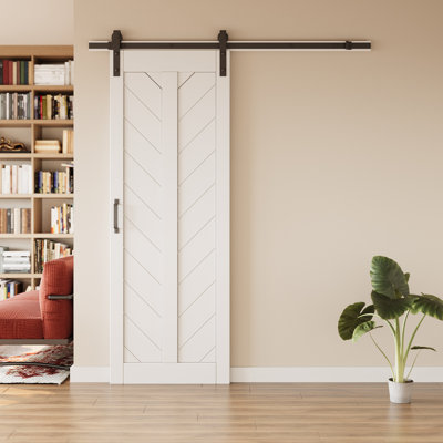 Modern Sliding barn door | White Primed Surface | Closet / Pantry Door