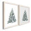 Blue Spruce I - ensemble de 2 cadres photo-1506184344-1506184347