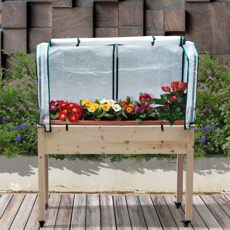 Jardin surélevé 4 pi x 1,5 pi