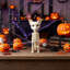 Halloween Decorative Accent