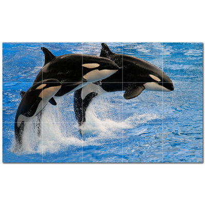 Murale en céramique satinée Whale Photo 12 po x 12 po