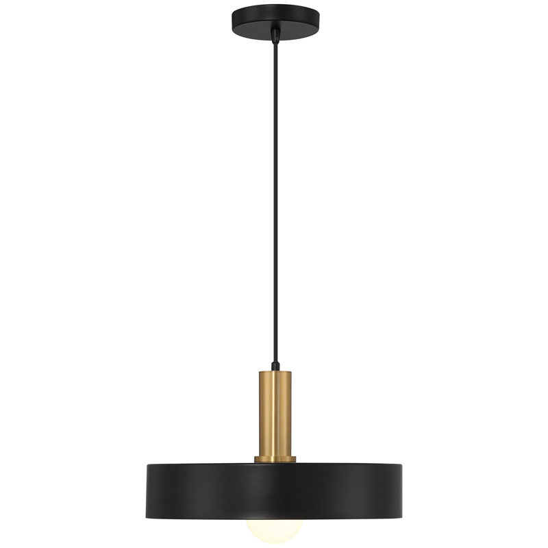 Luminaire suspendu 1 lumière Roree, Noir, Noir