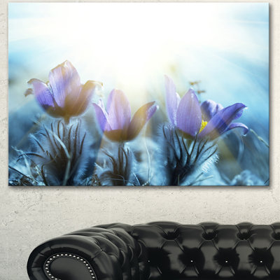 " Blooming Blue Spring Flowers "