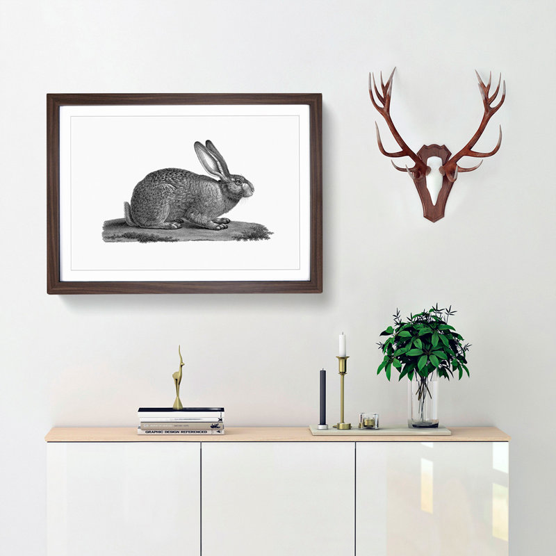 Illustration of a Hare - Picture Frame Drawing Print, 48cm H x 65cm W x 2cm D, Walnut Framed
