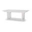 Framingham Extendable Dining Table-88466472