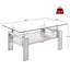 Table basse moderne moderne en verre trempé pour le salon avec structure robuste-243267008-243267010