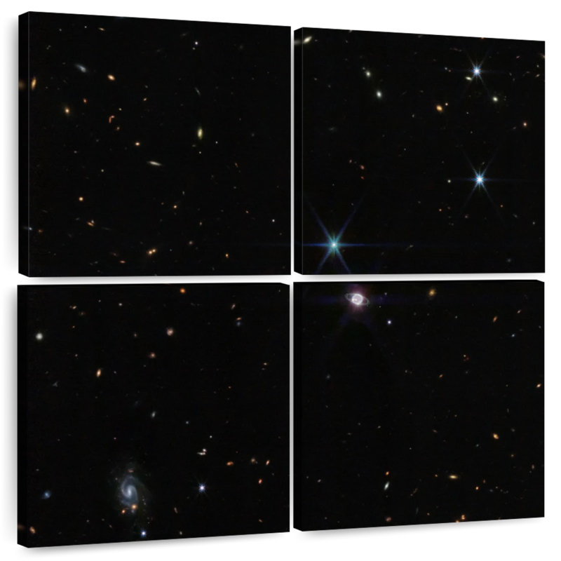 Oberle Neptune Wide-Field, 50" H x 50" W