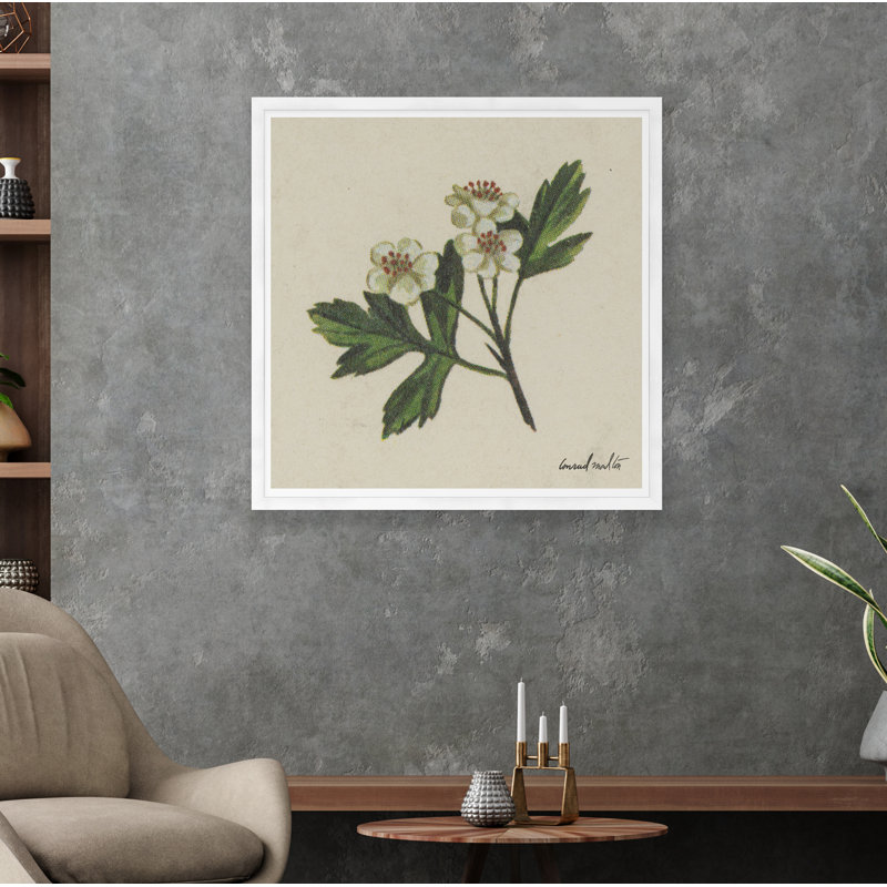 Fleur blanche I - reproduction de cadre photo, Blanc