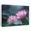 Serene Pink Lotus Blooms Delicate Elegant Peaceful Lily Lotus Flower Nature Wall Art Print 1 Piece Wrapped Canvas Wall Art-1577793645