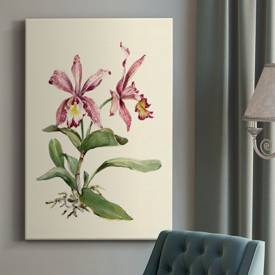 Pink Cattleya Orchid - Wrapped Canvas Painting -  Red Barrel StudioÂ®, DFFE01C7BBBB447387F239FFD3DC052C