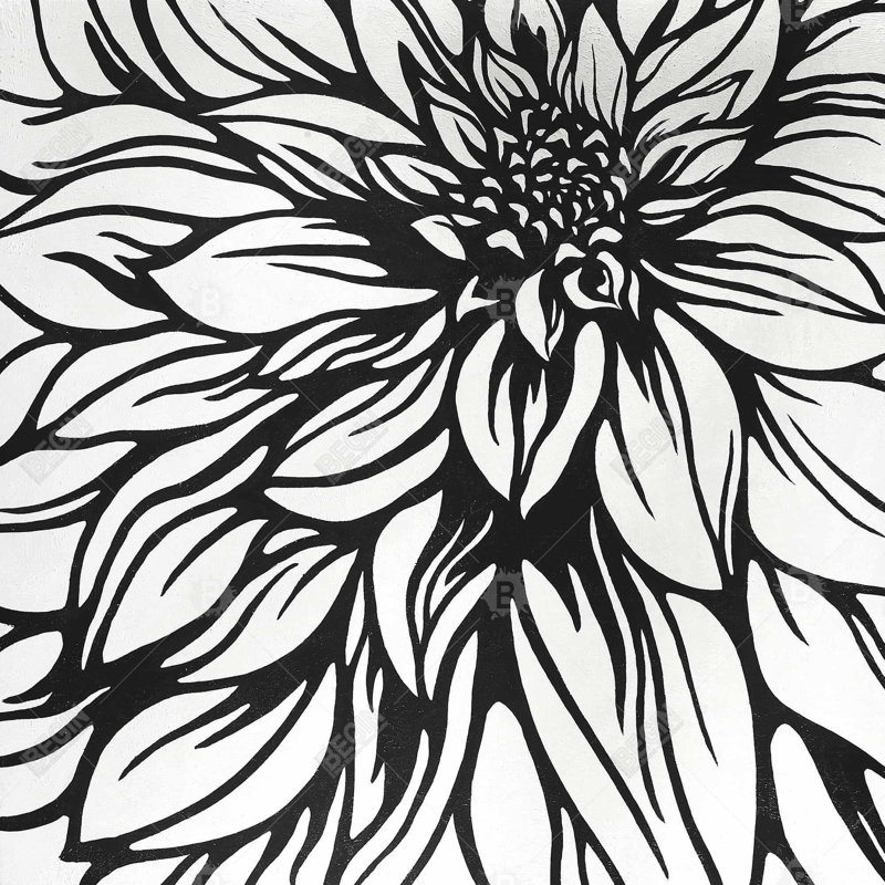 Floral – Polyester Shower Curtain, Dye Sublimation Print, 71" W × 74" L, White/Black