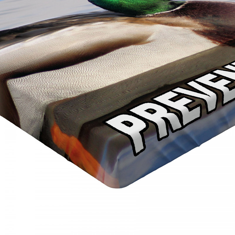 Microfiber Fitted Sheet, Full Fitted Sheet