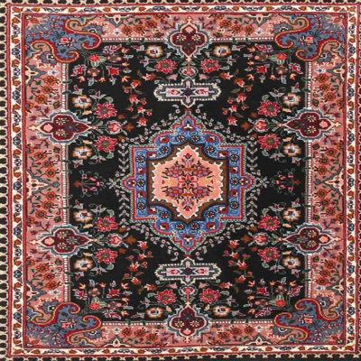 Tapis oriental noir / rouge