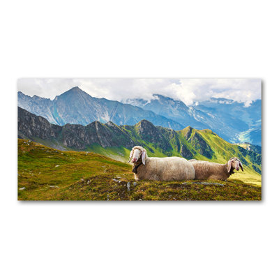 Sheep In The Alps - No Frame Print on Canvas