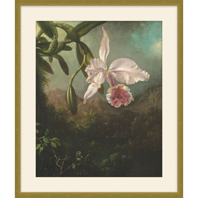 Orchid At Dusk 1 Print by Studio L57 Nouvelle