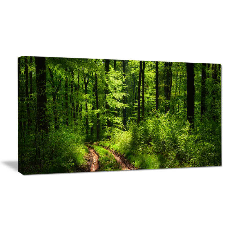 Large Green Forest Landscape Photographic Print on Canvas