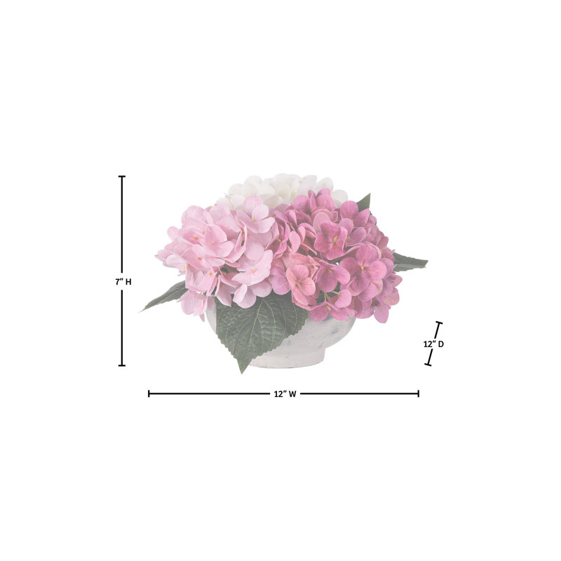 Hortensia en pot 8 "T x 10" P